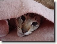 Nechte m� sp�t !