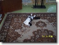 Nechte m� sp�t... pros�m ...