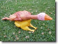 Pta�� ch�ipka u n�s nehroz�!