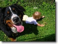 Max�k s Hani�kou