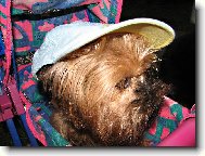 TAKY JE V�M TAKOV� VEDRO ?