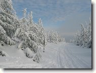 ASPO� JEDEN DEN NA B̎K�CH, CO ��K�TE ...