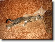 NA� NEJMILEJ�� ZRZEK BONIF�C S P��TELKYN� - pohodi�ka...