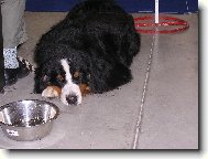 Sp�c� ber��k