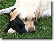 mate�sk� l�ska