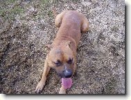 Podrbal jsem se na z�dech