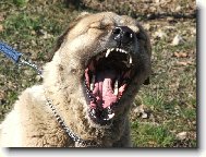 �sm�v, pros�m. Nebo ��kleb?