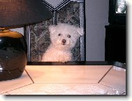 Co je dnes k ve�e�i?