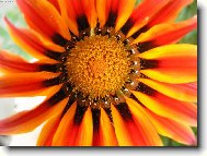 Post�lka pro v�elku M�ju