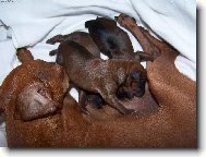 Te� jsem na �ad� j�!!! M�m hlad jako vlk