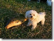 Ja m�m 3kg,kap��k 9kg...