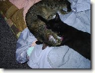 vz�jemn� hygiena...