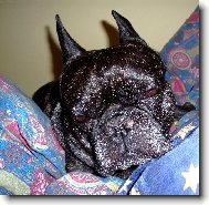 Nechte m� sp�t :-(