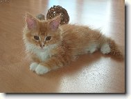 N�kde jsem si umazal nos