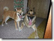 spole�n� hezky s������r