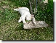 P�estv�vka v pr�ci