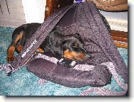 Lep�� ne� pel�ek!:)