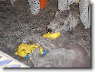 To je moje stono�ka