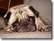 Leni�ka jde na KUT� :-))