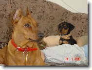 �erven� a �ern�