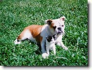 P�re�ek...neupad...