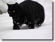 hur�, je tu sn�h !!!!!