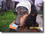 to je ale fr�ja co???