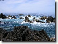 Kr�sa mo�e v Madei�e