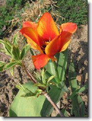 a jaro p�i�lo...