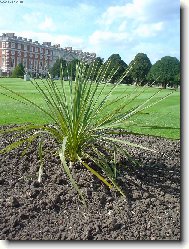 zahrady z�mku Hampton