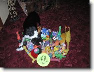 Najde� m� v m�m kr�lovstv�?