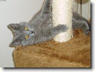 Klidn� si m� vyblejskni :)