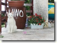 je n�s tu v�c.....