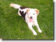 Na�e Terinka ,kter� je moc hodn�