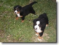 Br�kov�...ale ne moc podobn�