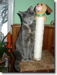 Jak se V�m l�b�m?