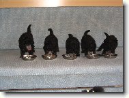 To je ale ba�ta!!! M�am