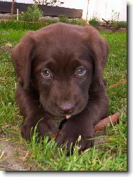 Dok�u se tv��it i jako nevi��tko.:-)