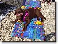 Dovolen� na pl�i Hershey!!!