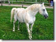 P�eci si nenech�m vyvalit bok !!