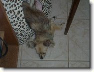 Na�e mal� �ivava