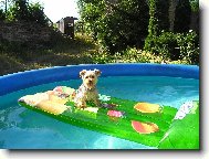 to vedro se neda vydr�et........