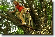 Kdo se boj� v�c?