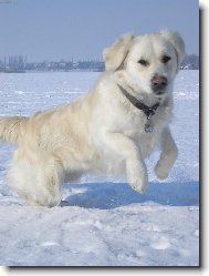 ����� HOOOP