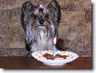 N� Jerry a jeho narozeniny