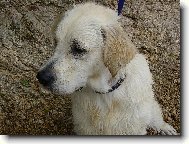 bude ze m� z�chran��