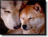 �eptej mi to pros�m, potichou�ku...