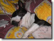 Odpo�inek po nam�hav� pr�ci