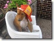 connerek miluje vyvolen�ch