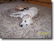 To vedro m� n�jak zmohlo!